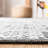 Paz Hand Woven Performance Chevron Rug-20657532