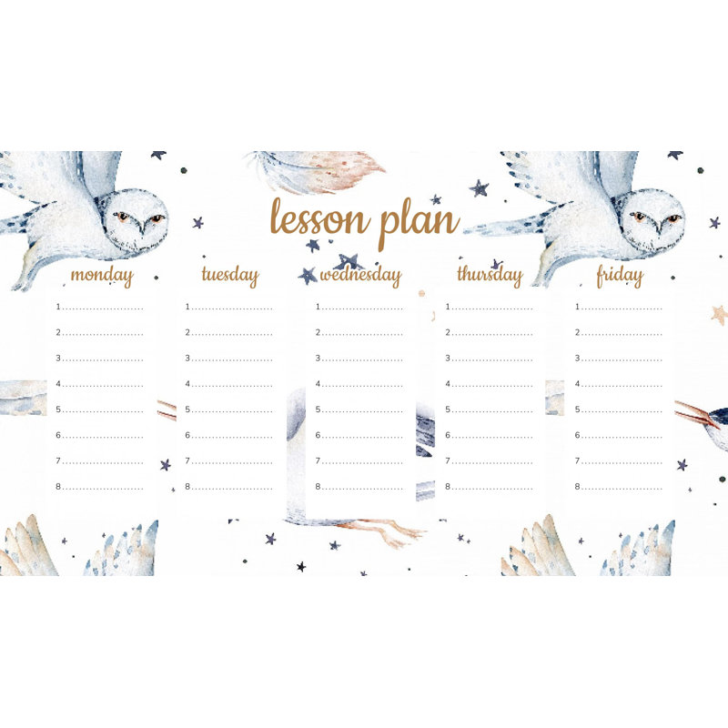 Magnetic Lesson Plan Snowy Owl