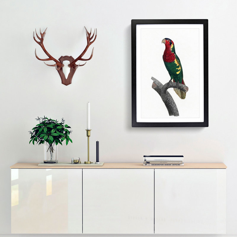 Blue Headed Lorikeet by F. Levaillant - Picture Frame Graphic Art Print, 65cm H x 48cm W x 2cm D, Black Framed