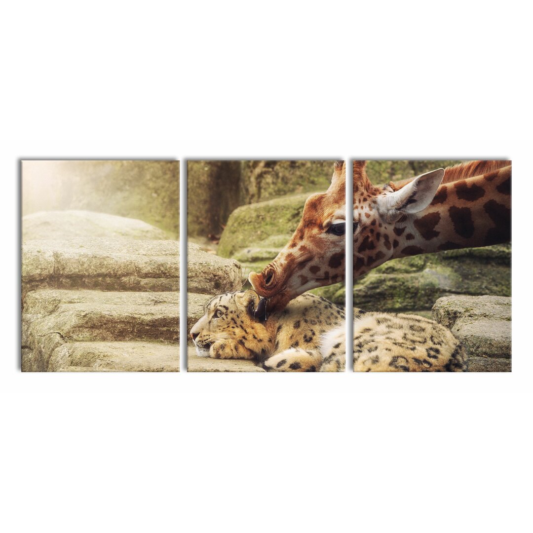 3-tlg. Leinwandbilder-Set Leopard and a Giraffe