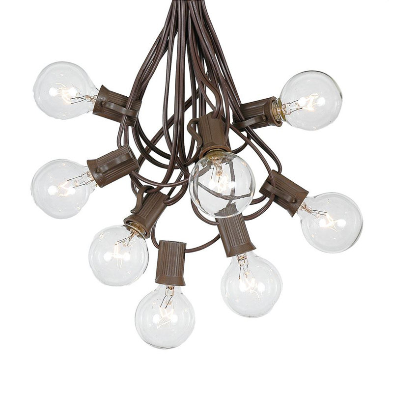 Outdoor 100 - Bulb 100'' Plug-in Globe String Light, Brown