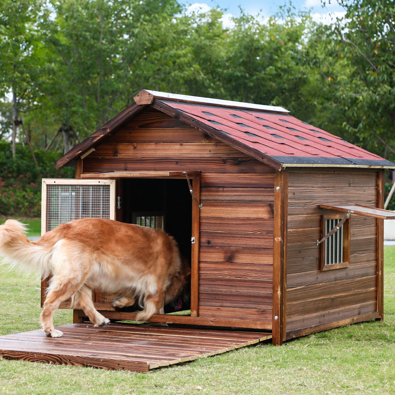 Niche pour chien Gibert, H 60 po x l 62 po x P 75 po
