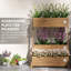 Wood Planter Box