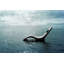 Mermaid Outdoor Side Table-88345781