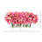 Peonies Arranged in a Glass Vase-240255417