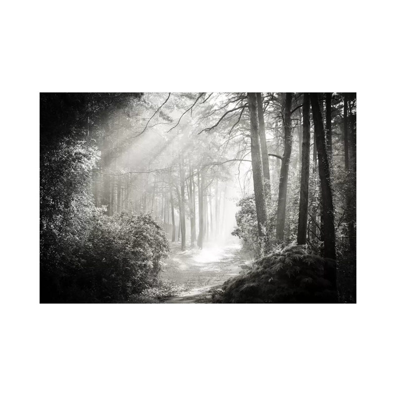 Into the Forest II 1 Piece Wrapped Canvas Wall Art, 101.6 cm H x 66.04 cm W x 1.91 cm D, Wrapped Canvas