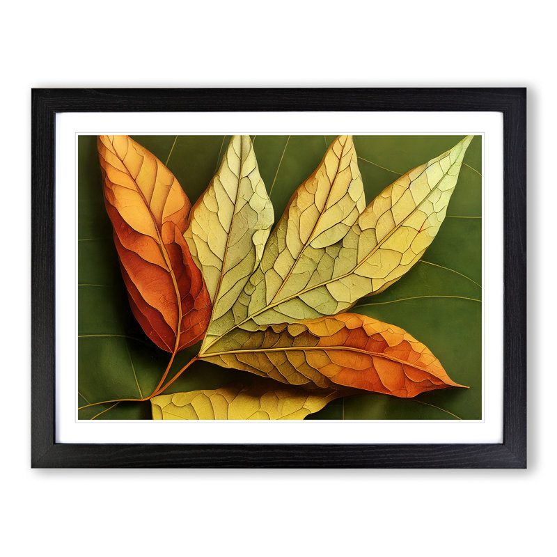 Autumn Leaf - Single Picture Frame Print, Black Framed, 34cm H x 46cm W x 2cm D