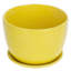 Edolie 17.8 cm Indoor Ceramic Pot Planter-996614703