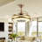 Reinu 38'' Ceiling Fan with LED Lights