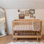 Bliss 4-in-1 Convertible Crib-218779779