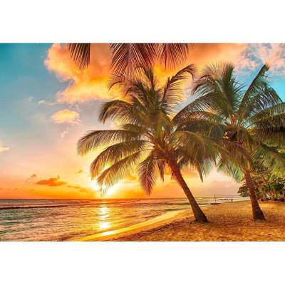 Coastal Beachy Peel & Stick Vinyl
