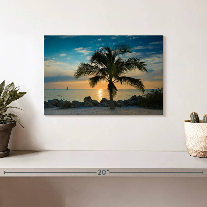 Palmier Gillard Key West, H 8 po x l 12 po