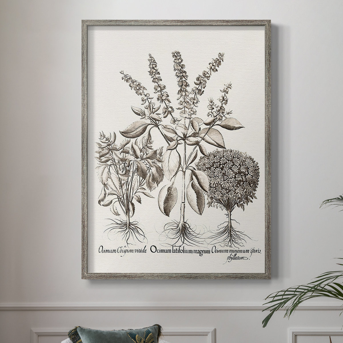 Winston Porter Sepia Besler Botanicals II Framed Print - Solid Wood ...