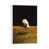 White Framed is unavailable