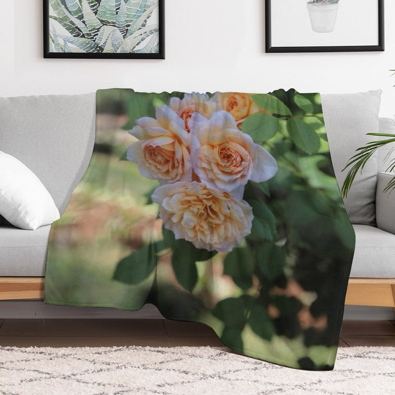 Jeté en flanelle de pêche douce et douce, couverture douce et chaude pour le canapé-lit du salon, 60 x 80 po