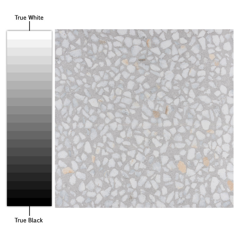 Farnese Amalfi 12" x 12" Porcelain Field Tile Wall & Floor Tile, Humo