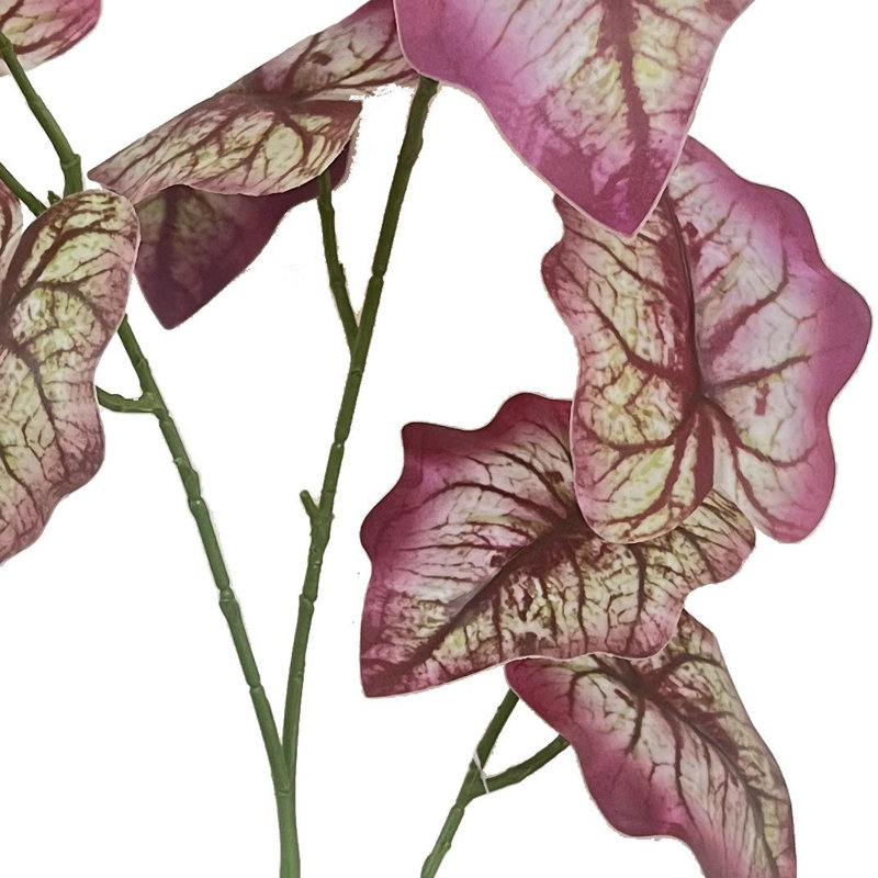 Andwele Arrangement