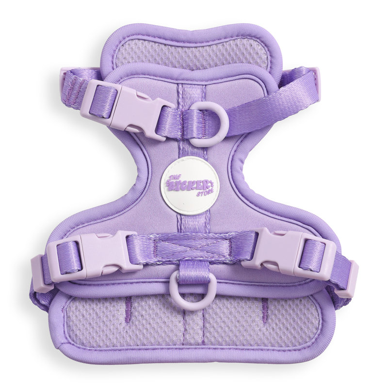Harnais pour animal de compagnie Arlo, Mauve