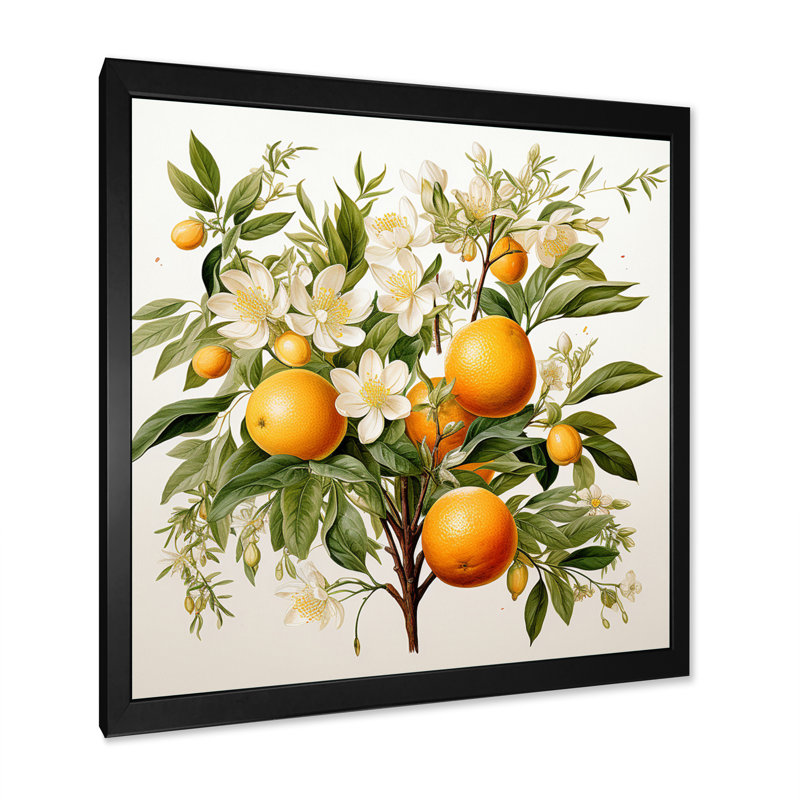 Fruit, art mural sur toile, arbre, reproduction botanique, Cadre simple noir, H 16 po x l 16 po x P 1 po