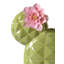 Opuntia Cactus Night Approaches-101945152