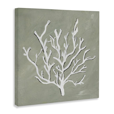 White Coral Impression Canvas Wall Art by Nola James