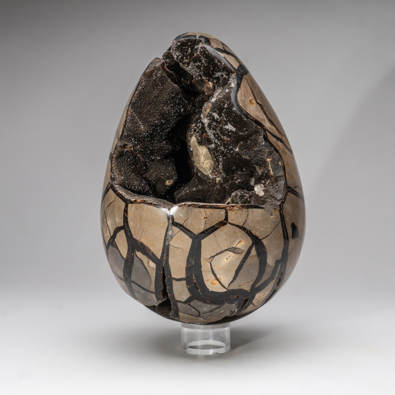 Septarian Druzy Egg