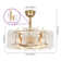 23'' 4-Light Glass Sahde Fandelier with Remote Control