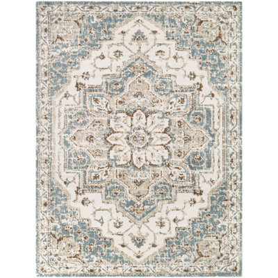 Blue Persian Medallion Area Rug