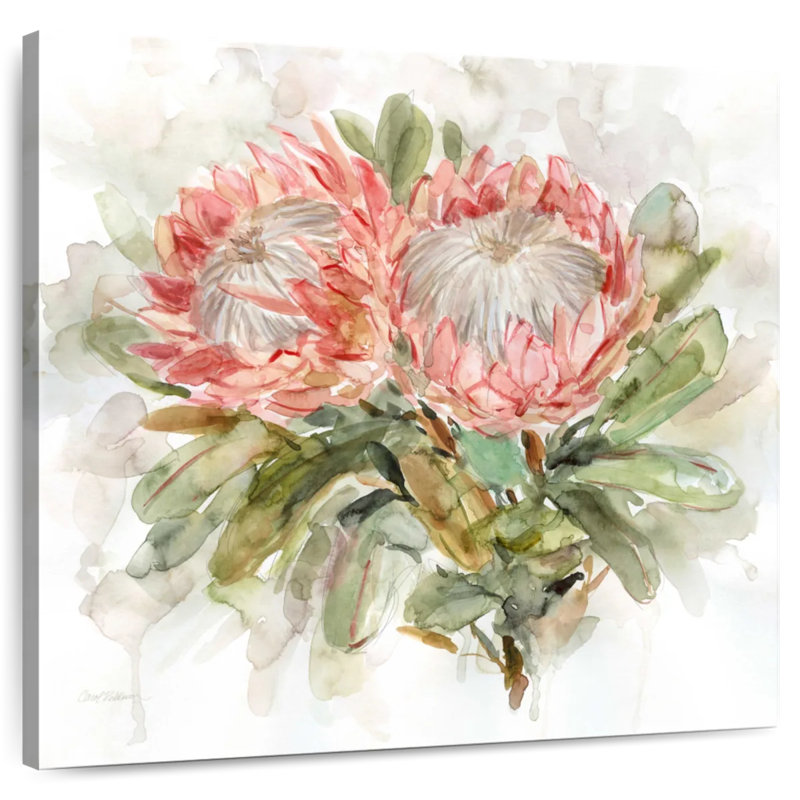 Harnek Pale Protea I, 39" H x 39" W