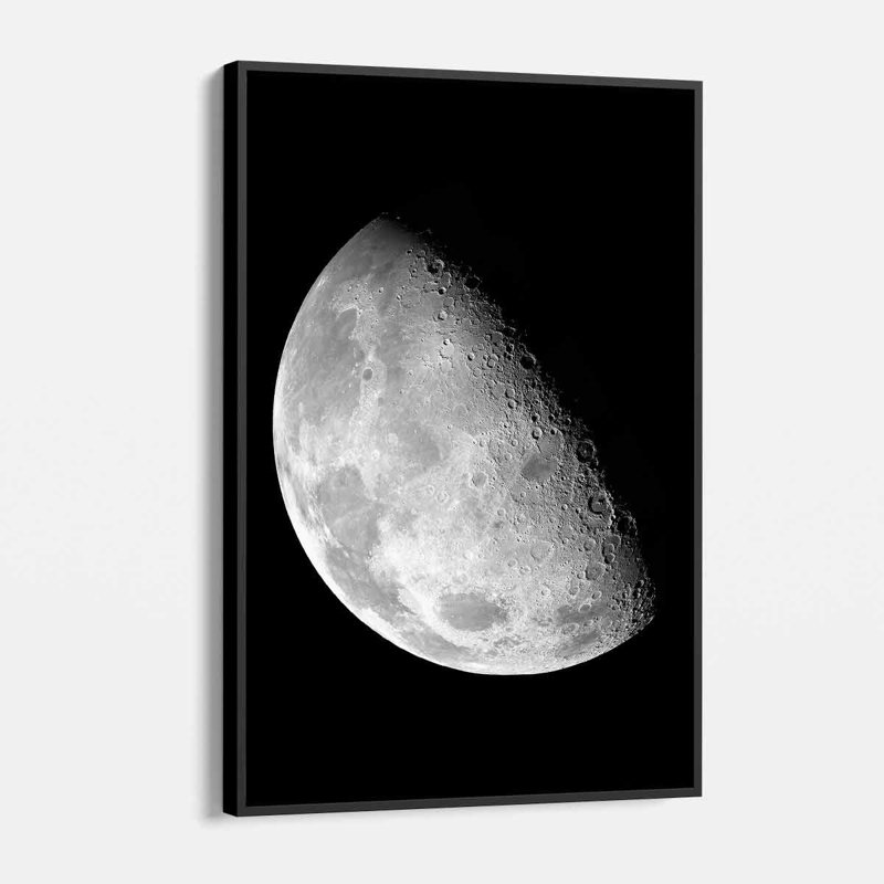 Flurije, lune gracieuse noire sur toile, H 16 po x l 12 po, Cadre noir
