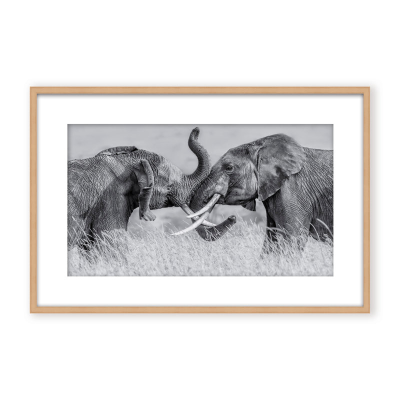 Nature Inspired Elephant Tai Chi by  - Picture Frame Photograph on Paper, 32" H x 48" W x 1.125" D, Black