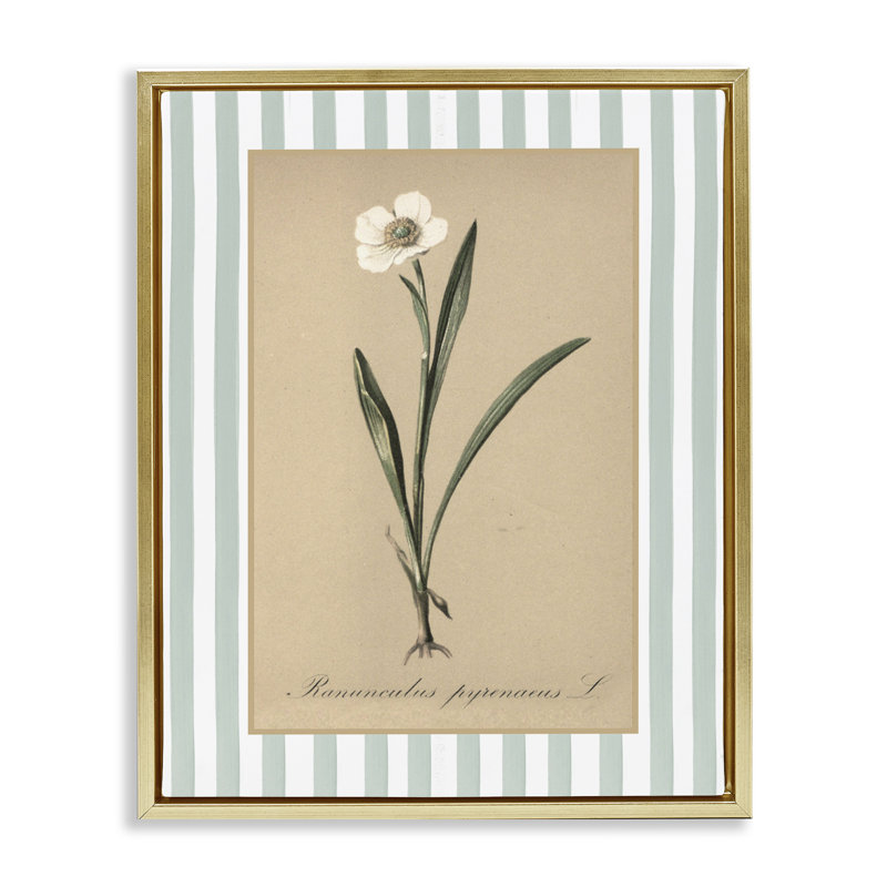 Cadre flottant Wild Poppy avec rayures vertes, design avec lettres et doublure, H 31 po x l 25 po