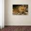 Alexan «Denver Zoo Snow Leopard», reproduction de photo sur toile tendue-24036981