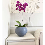 Florence Pot Planter