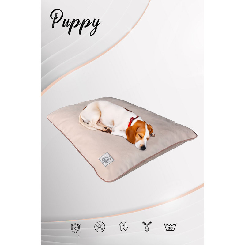 Lit pour animal de compagnie, L 35,4 po x l 23,6 po, Crème, crème