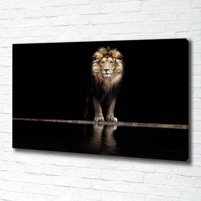 Portrait Of A Lion - No Frame Print on Canvas