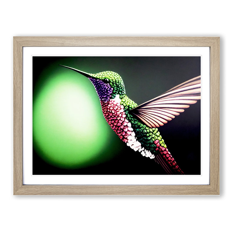 Bold Hummingbird - Single Picture Frame Print, 25cm H x 34cm W x 2cm D, Oak Framed