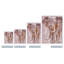 « Wild zen II » par Olivia rose-impression sur toile tendue-25789096