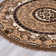 Oriental Indoor Rug