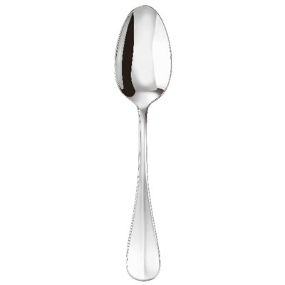Baguette Stainless Steel Serving Spoon