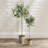 Faux Olive Tree Tree in Ceramic Pot-2032869182