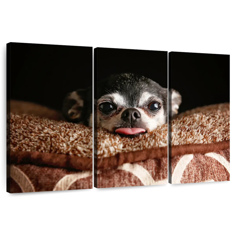 Brampt Playful Chihuahua, 28" H x 45" W