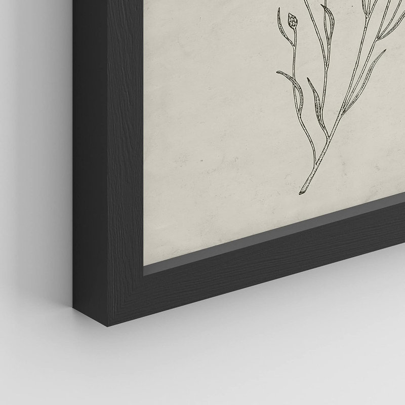 Reproduction encadrée vintage de 4 fleurs sauvages, Cadre noir, H 14 po x l 11 po x P 1 po