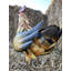 Animals Weather Resistant Metal Garden Statue