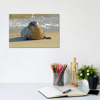 Stepping Out Of The Water by Brian Wolf - Wrapped Canvas Print