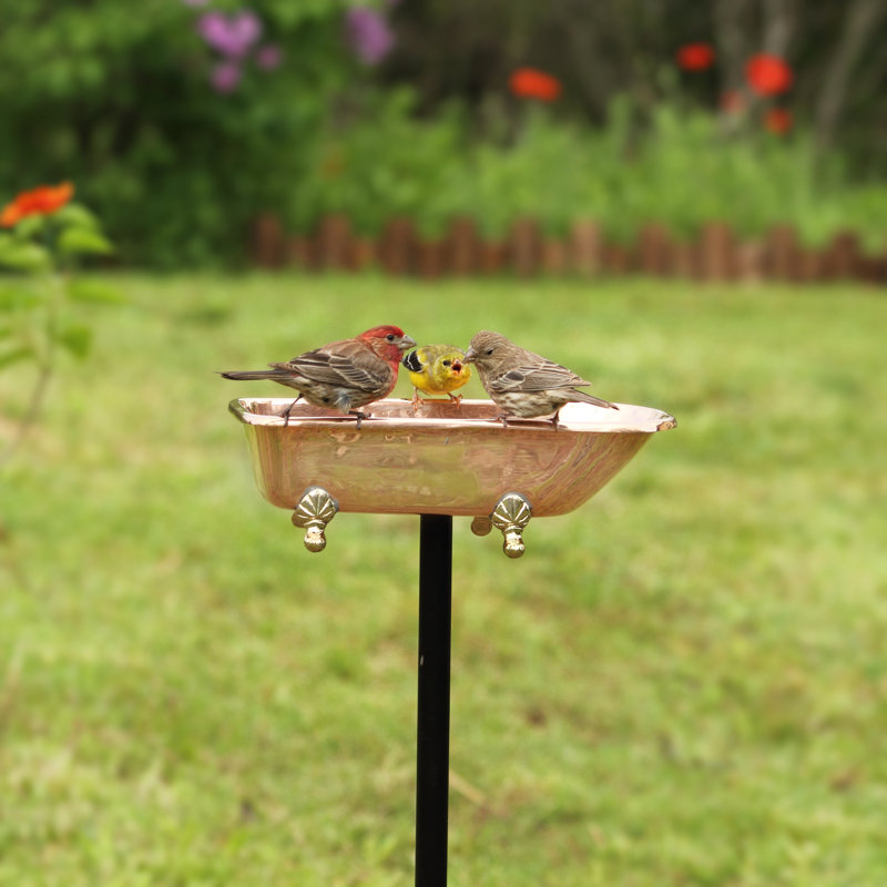 Bain d'oiseaux Brander, Cuivre