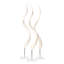 Polished Kudu Inner Horn on Acrylic Display Base
