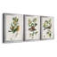 Oiseau antique, botanique et œuf I - ensemble de 3 peintures sur toile encadrées-1128397840-1128397844