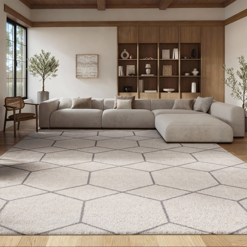 Tapis ivoire / gris Kasturi 608, Rectangle 8 pi x 10 pi