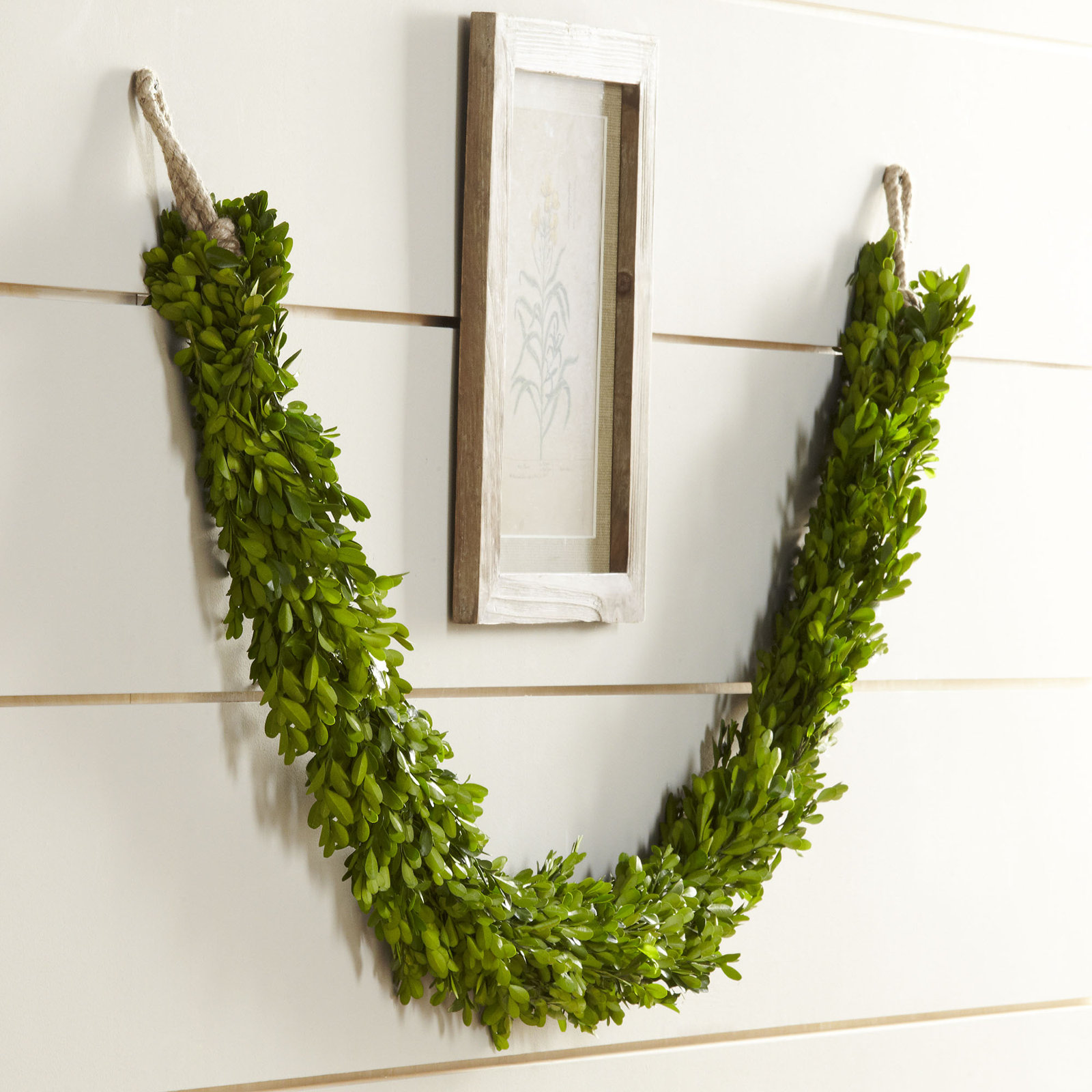 71'' in. Preserved Boxwood Garland